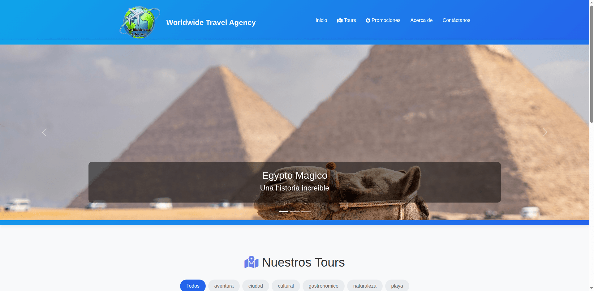 worldwidetravelservices.com